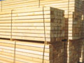 white-wood